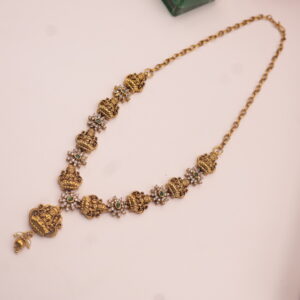 "The Resplendent Nakshi Collection"